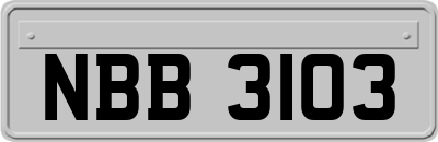 NBB3103