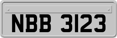 NBB3123