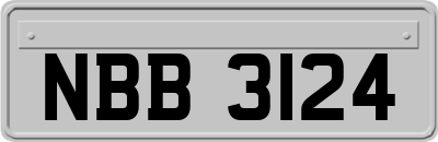 NBB3124