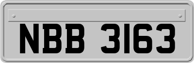 NBB3163