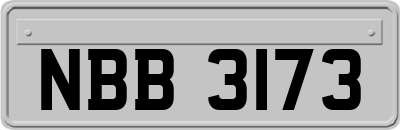 NBB3173