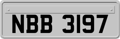 NBB3197