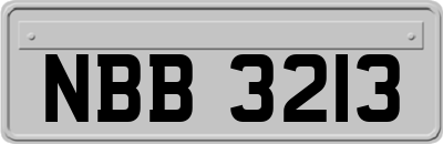 NBB3213