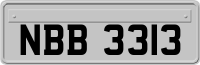 NBB3313