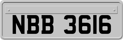 NBB3616