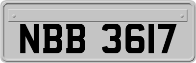 NBB3617