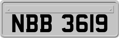 NBB3619