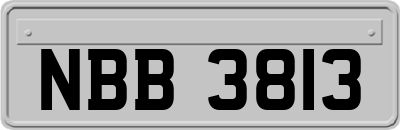 NBB3813