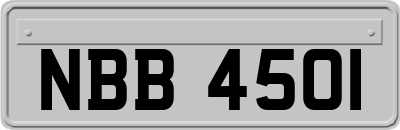 NBB4501