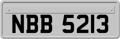 NBB5213