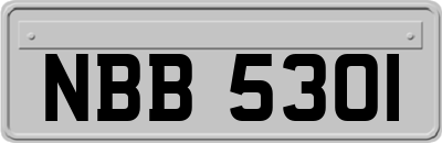 NBB5301