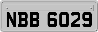 NBB6029