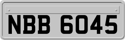 NBB6045