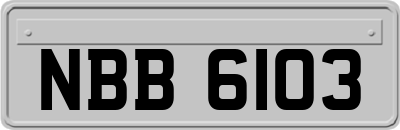 NBB6103