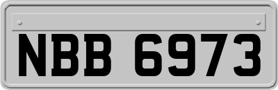 NBB6973