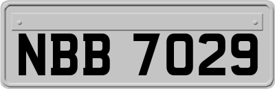 NBB7029