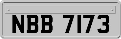 NBB7173