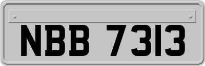 NBB7313