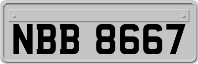 NBB8667