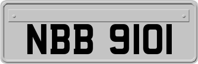 NBB9101