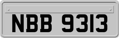 NBB9313