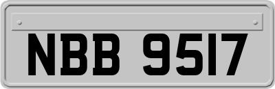 NBB9517