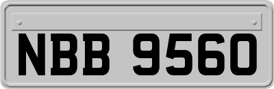 NBB9560