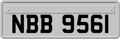 NBB9561