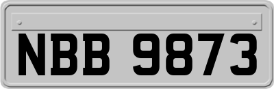 NBB9873