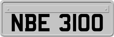 NBE3100