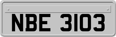 NBE3103