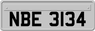 NBE3134