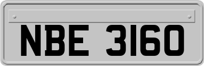 NBE3160