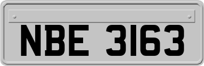 NBE3163