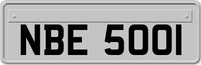 NBE5001