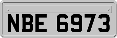 NBE6973