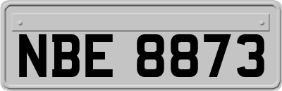 NBE8873