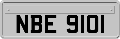 NBE9101