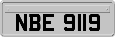 NBE9119