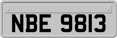 NBE9813