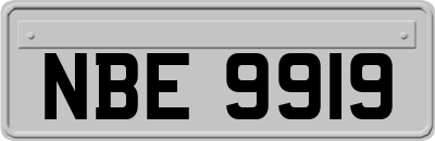 NBE9919