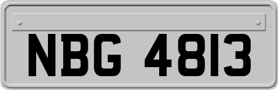 NBG4813