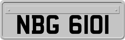 NBG6101