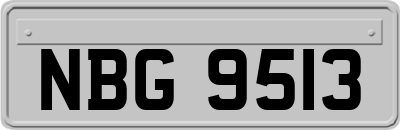 NBG9513