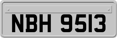 NBH9513