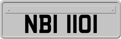 NBI1101