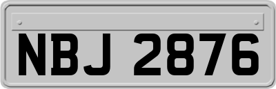 NBJ2876