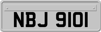 NBJ9101