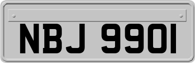 NBJ9901