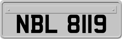 NBL8119